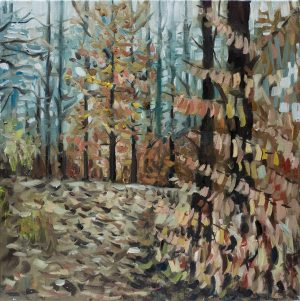Sebalder Reichswald - Herbst