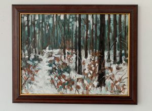 Nürnberger Reichswald im Schnee