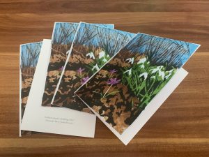 Osterkarten Klappkarte A6 - Motiv: Schneeglöckchen und Krokus - 10 Stück