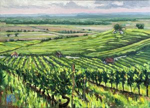 Weinberge Franken